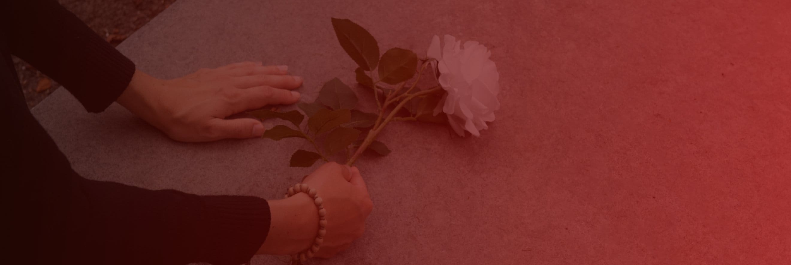 морг-семашко.бел